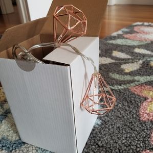 🌹 Gold String Lights